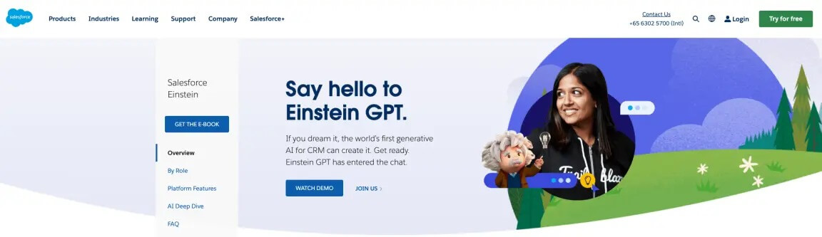 Salesforce – Einstein GPT